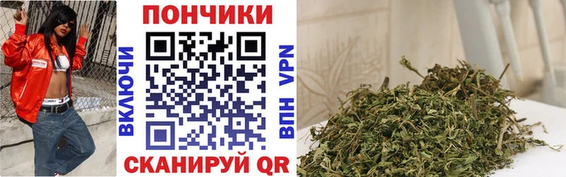 Бошки марихуана гибрид Далматово